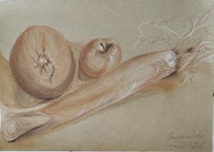 cours dessin hemispheres2 2