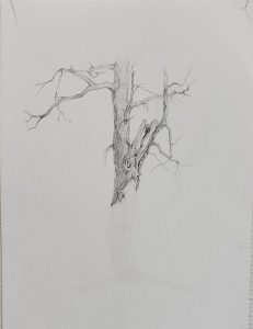 cours dessin hemispheres4 18